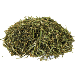 suplementy dla koni, witaminy dla koni, dieta dla koni,