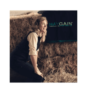 alergia u koni, uczulenie u koni, rao, kaszel u koni