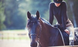 pasza dla koni, konie sportowe, otręby ryżowe dla koni