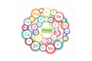 witaminy dla koni, niedobory u koni, suplementy dla koni, żywienie koni