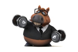 nadwaga u koni, otyłość, kondycja, pasza dla koni otyłych, dieta dla koni