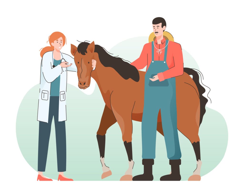 choroby koni, dieta dla koni