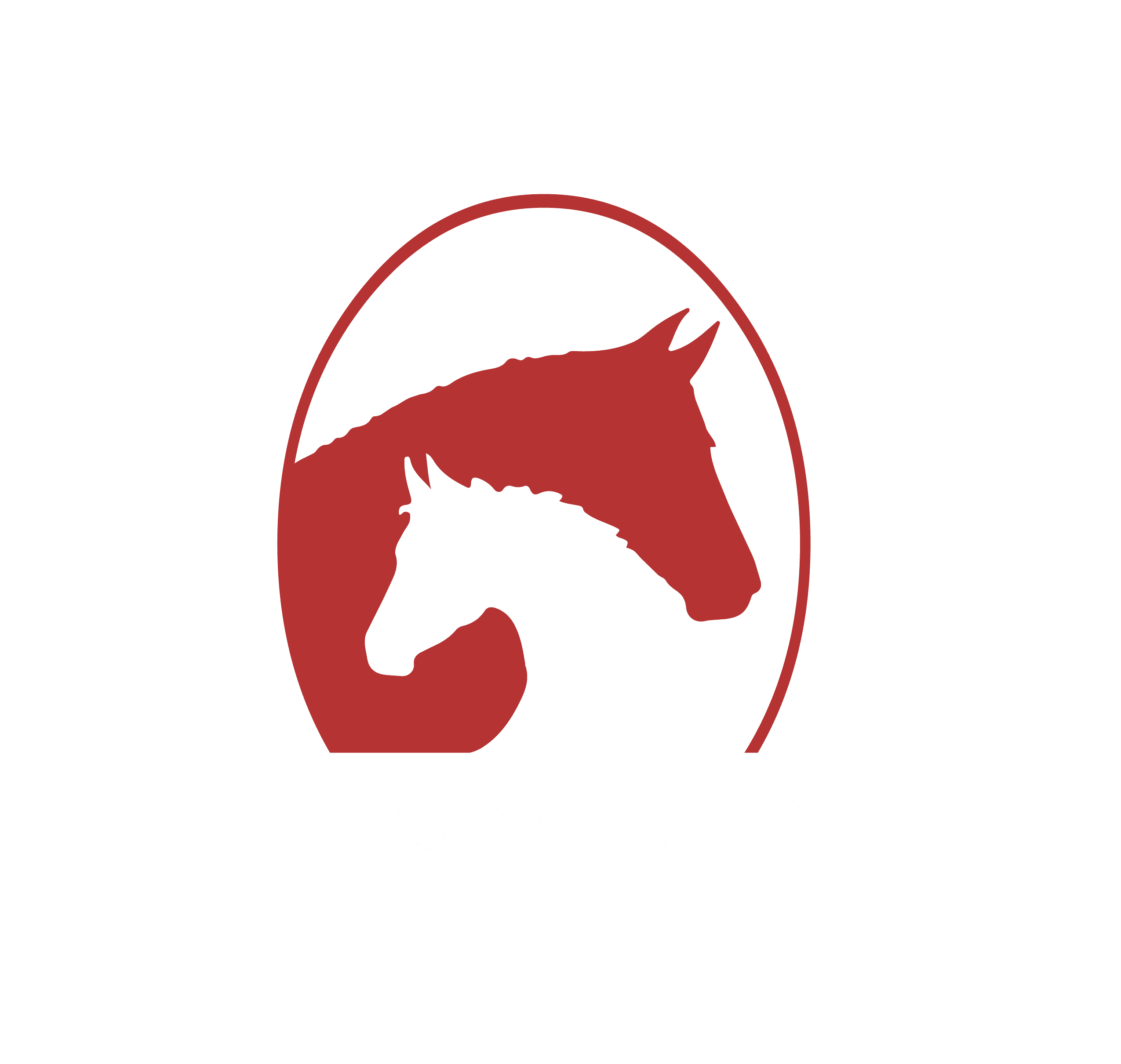 Logo sklepu z paszami i suplementami dla koni