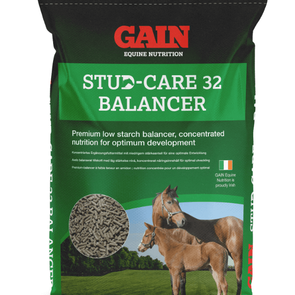 balancer dla koni, konie sportowe