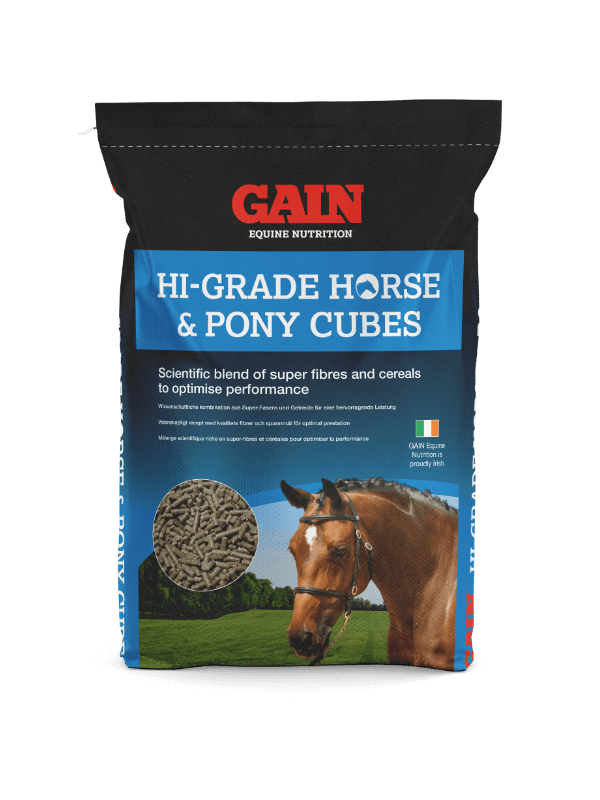 Hi-Grade Horse & Pony Cubes
