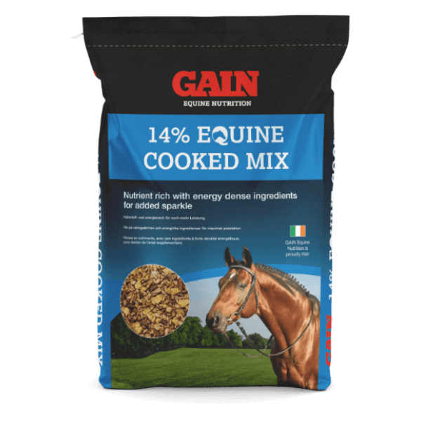 pasza dla koni sportowych