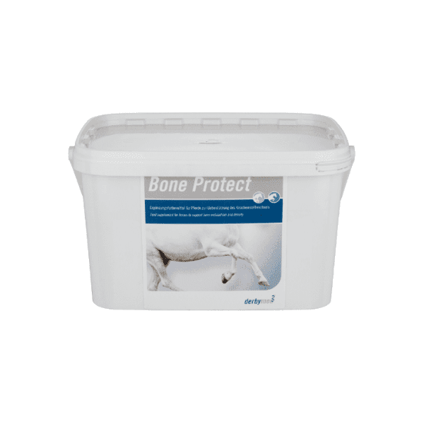 zdrowe kości u koni