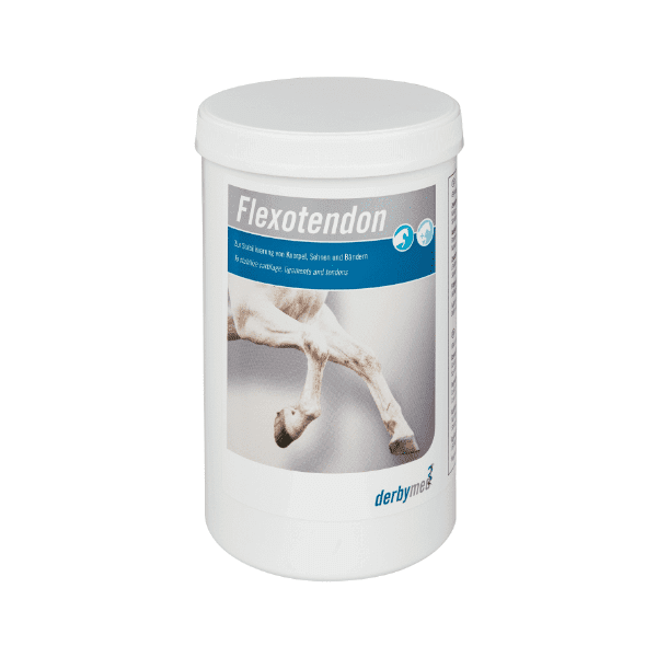 msm dla koni, suplement na stawy dla koni