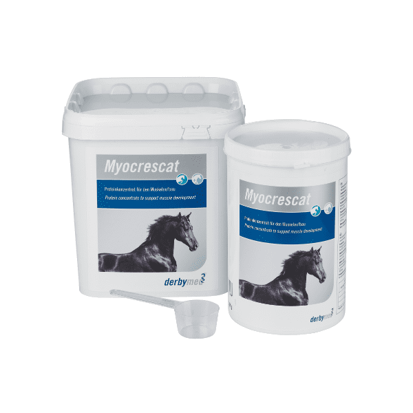 suplement na mięśnie dla koni