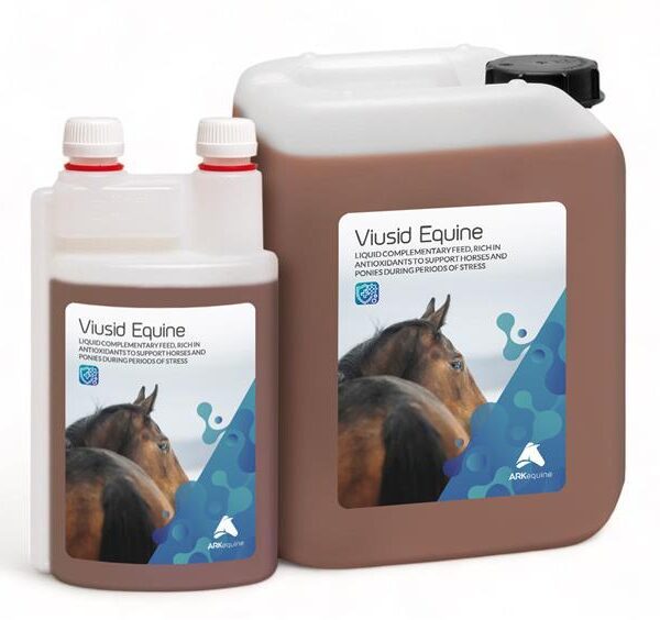 suplement dla koni sportowych