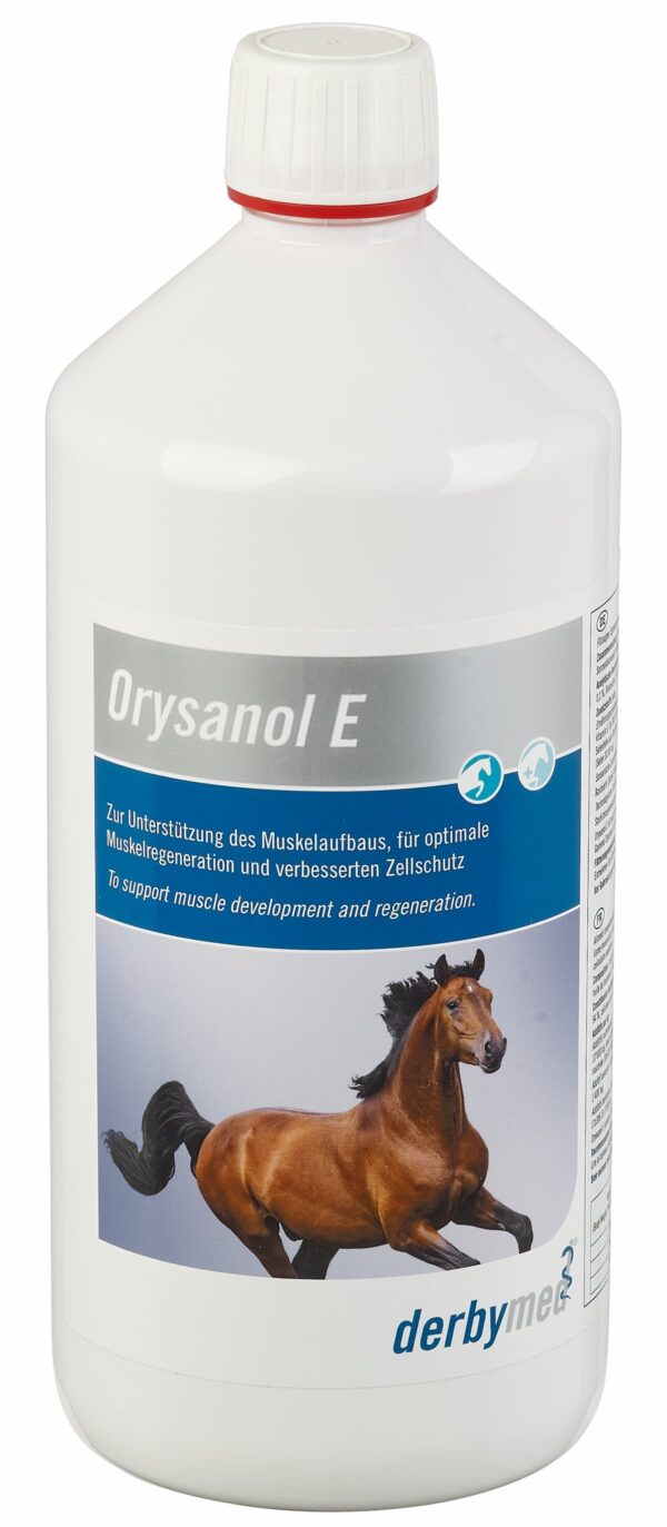 Orysanol E – płynny suplement dla koni sportowych na mięśnie i regenerację