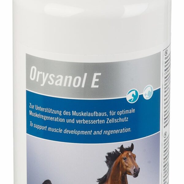 suplement na mięśnie dla koni sportowych