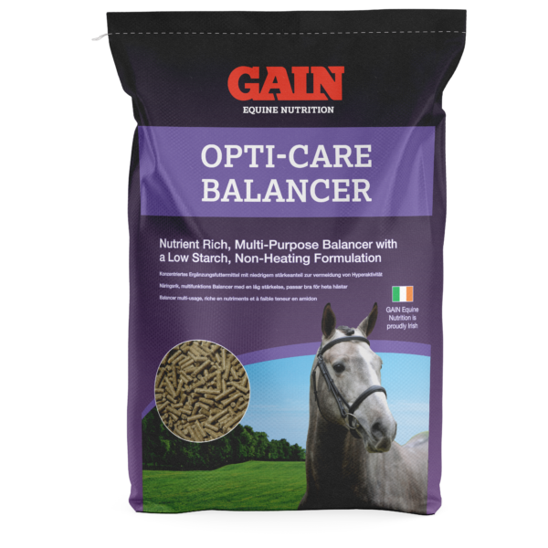 balancer dla koni z wrzodami i ochwatem