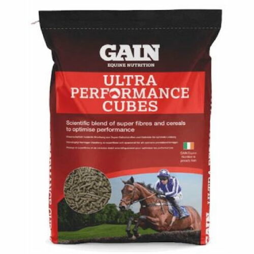 pasza z owsem dla koni, pasza dla koni sportowych