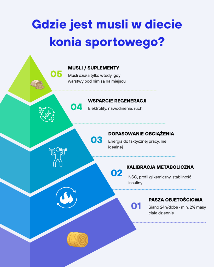 Hierarchia żywienia konia sportowego — pięć warstw pokazujących, że musli i suplementy są warstwa piątą, nie podstawą diety.