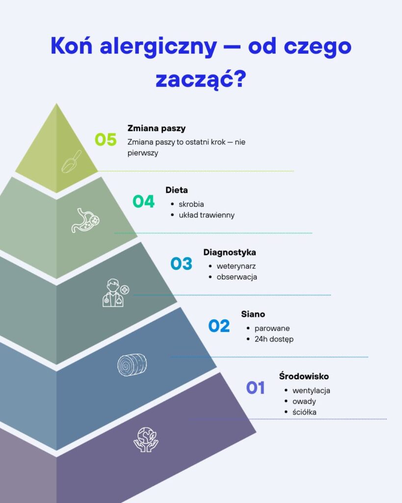 Hierarchia interwencji dla konia alergicznego — 5 kroków: środowisko i siano przed zmianą paszy pasza dla koni alergicznych